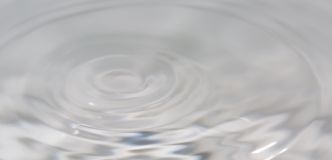 コメ発酵液
