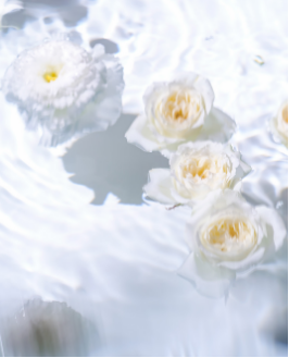 water garden