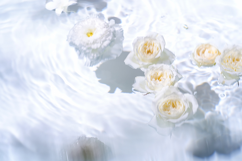 water garden